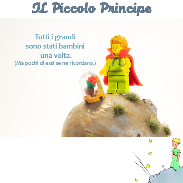 ilPiccoloPrincipe45