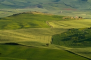 valdorcia-40