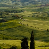 valdorcia-52