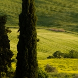 valdorcia-53